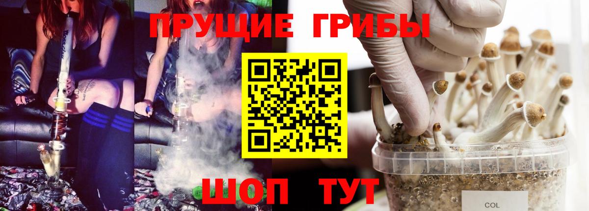 Галлюциногенные грибы GOLDEN TEACHER  Псилоцибиновые грибы ЛСД  Вход с VPN  Нягань 